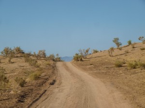 Maranjab desert (12)       
